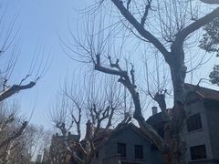 -上海孙中山故居纪念馆