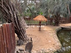 -呀路古热带植物园