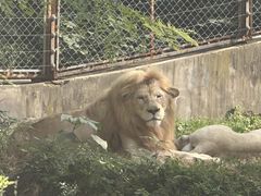 -石家庄市动物园