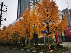 -邓记新一代糖油果子(四川煤管局供销公司职工宿舍店)