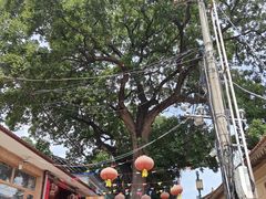 -柳沟豆腐宴69号福豆堂