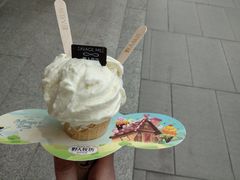 -野人先生现做冰淇淋(西安赛格店)