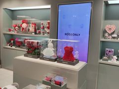 -ROSEONLY诺誓(国际广场购物中心店)