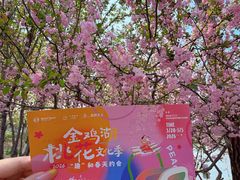 -金鸡湖桃花岛
