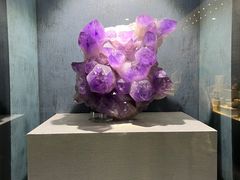 -河南自然博物馆