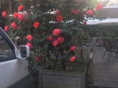 -老洋房花园饭店(绍兴路店)