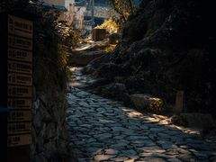 -杨家堂村