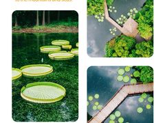 -上海辰山植物园