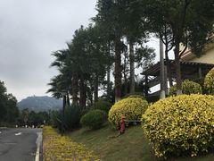-厦门帝元维多利亚大酒店(环岛路黄厝海滩店)