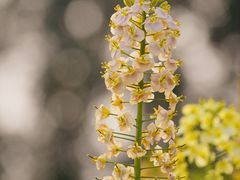 -中国天府农业博览园