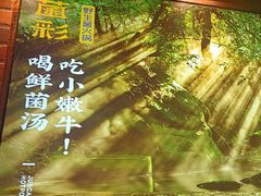 -菌彩云南野生菌火锅(呈贡七彩云南第壹城店)