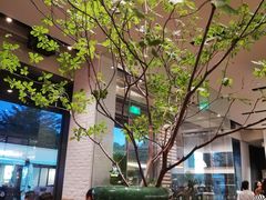 -gaga(深圳南山益田假日广场店)