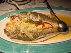 -寻宝记绍兴菜(状元店)