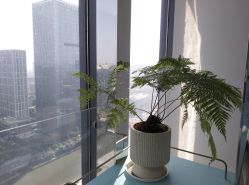 -颜蕾医美黄金微针水光玻尿酸超声炮抗衰中心