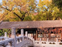 -颐和园
