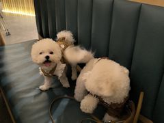 -温野菜涮涮锅(大悦城店)