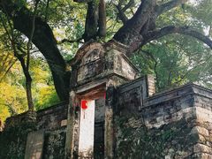 -楠溪江风景名胜区