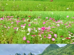 -万峰林风景区