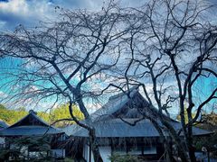 -天龙寺