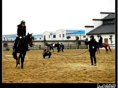 -松声马术俱乐部