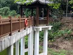 -火炉山森林公园