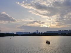 -洋湖国家湿地公园