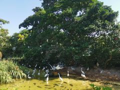 -珠海长隆海洋王国
