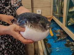 -天正河鲀·河豚亭(大连店)