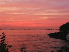 -上海吴淞炮台湾国家湿地公园