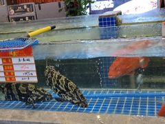 -骏莱海鲜鱼港(五角场店)