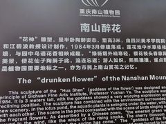 -南山植物园