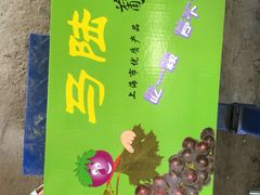 -马陆小张葡萄园农家乐