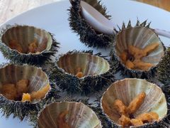 -蓝湾碧波·老字号·疍家非遗海上餐厅