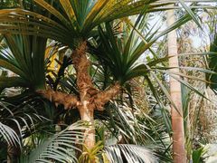 -北京植物园-展览温室