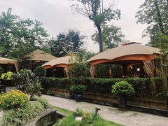 -二荆条·蜀鲜汇城市森林火锅