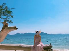-东姑阿都拉曼海洋公园