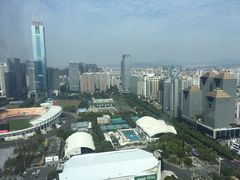 -正佳金殿维福顿公寓(广州正佳广场体育西路地铁站店)
