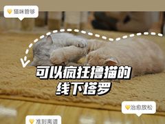 -好心里咨询Tarot塔羅