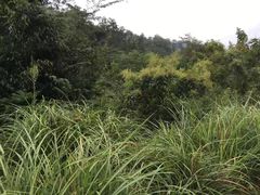 -会稽山峡洞漂流-上青古道
