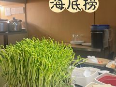 豆芽-海底捞火锅(杭州萧山宝龙广场店)
