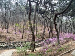 -红螺寺