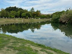 -升仙湖公园