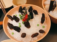 -季季山•云南野生菌火锅(上海首店)