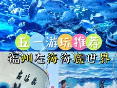 -左海海底世界