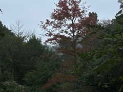 -敬亭山风景名胜区