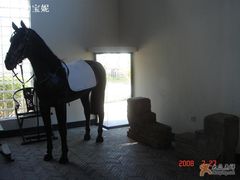 -松声马术俱乐部