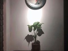 -花迹(富春江东街店)