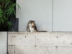 -光舍(香榭里花园店)