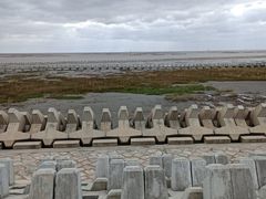 -南汇嘴观海公园