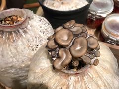 -番食园鲜食火锅(高新店)